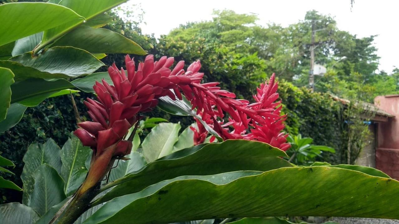 Suíte Cocaia Ilhabela Exterior foto